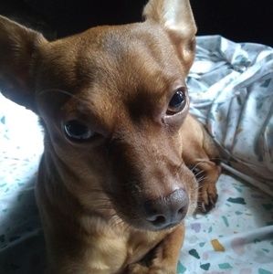 Meet your Posher, Ashantee